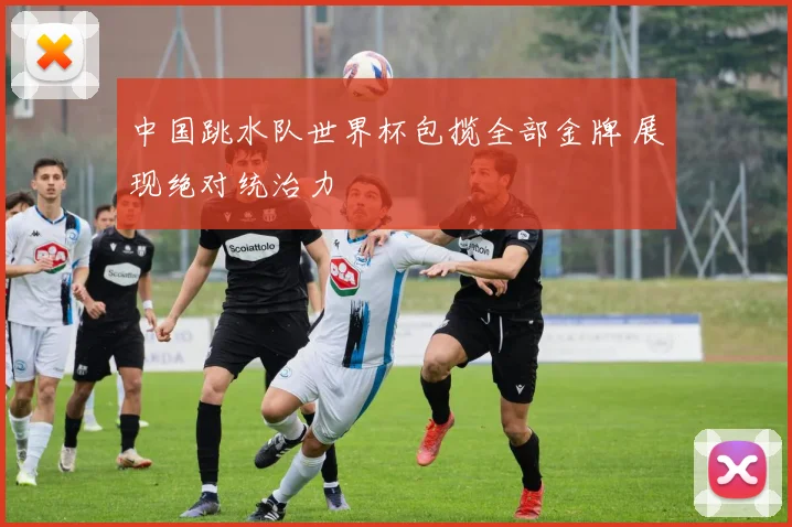 中国跳水队世界杯包揽全部金牌 展现绝对统治力