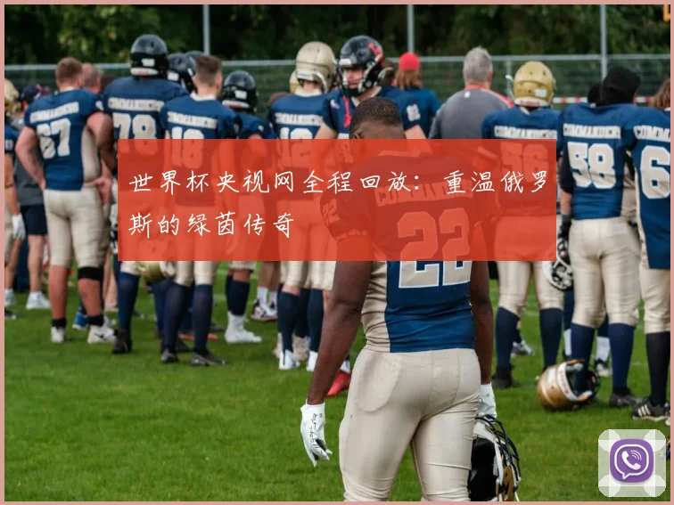 世界杯央视网全程回放：重温俄罗斯的绿茵传奇