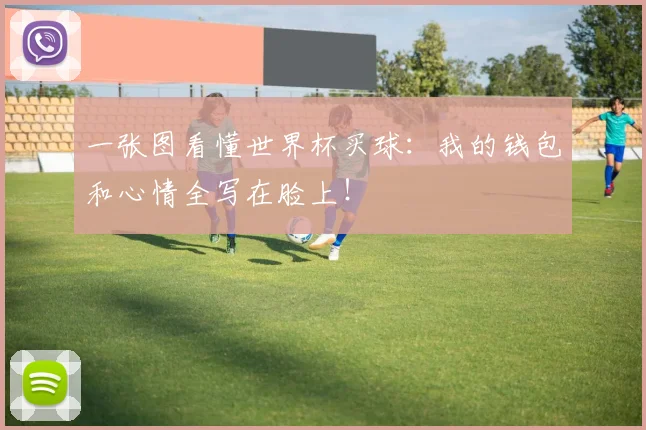 一张图看懂世界杯买球：我的钱包和心情全写在脸上！